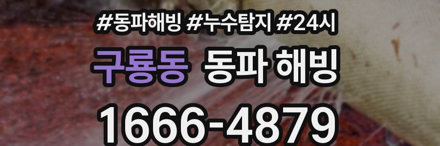 구룡동 동파