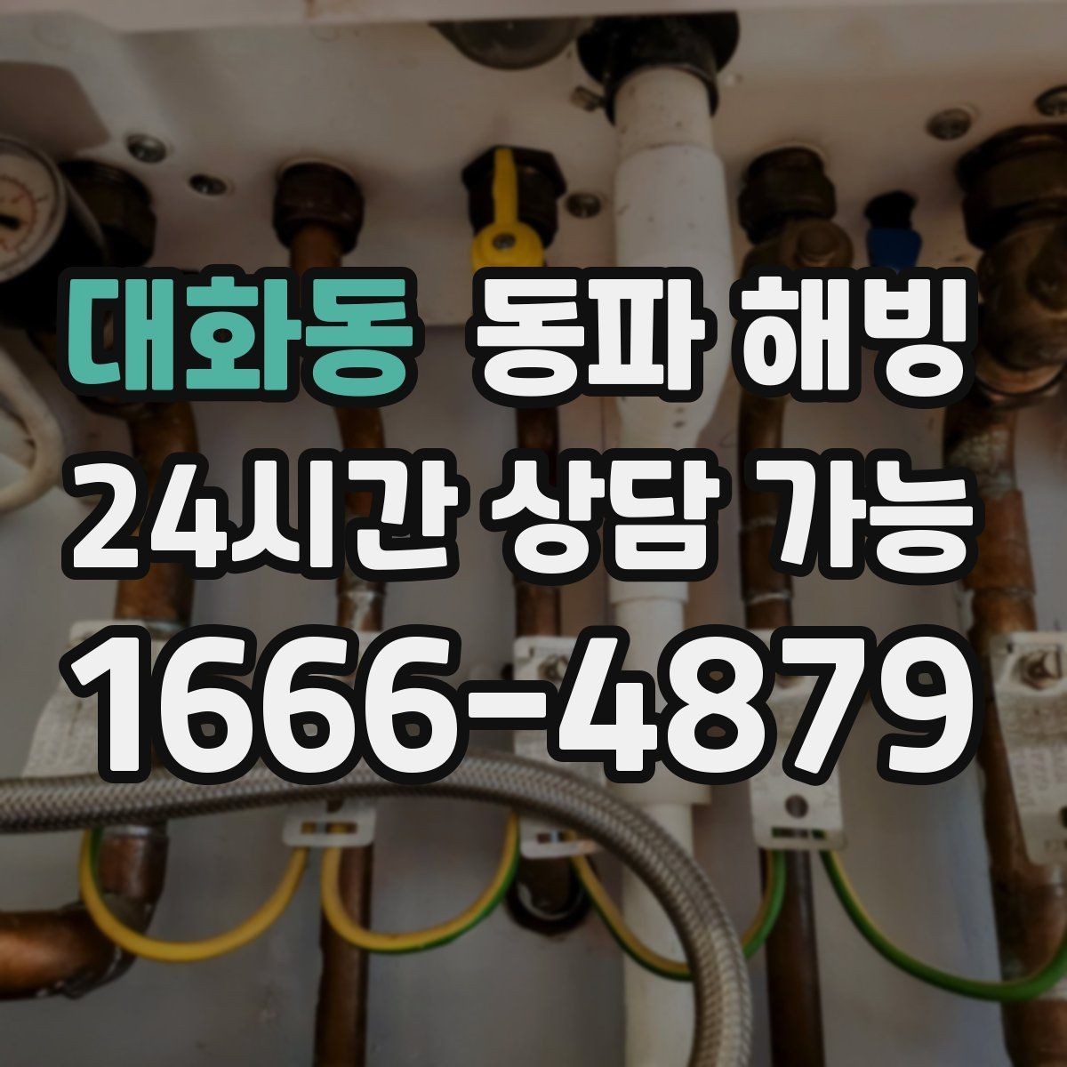 대화동 동파 해빙 현장 점검이 어떤 순서로 진행되는지