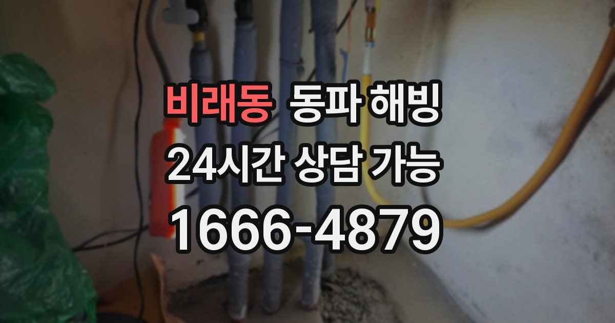 비래동 동파 해빙