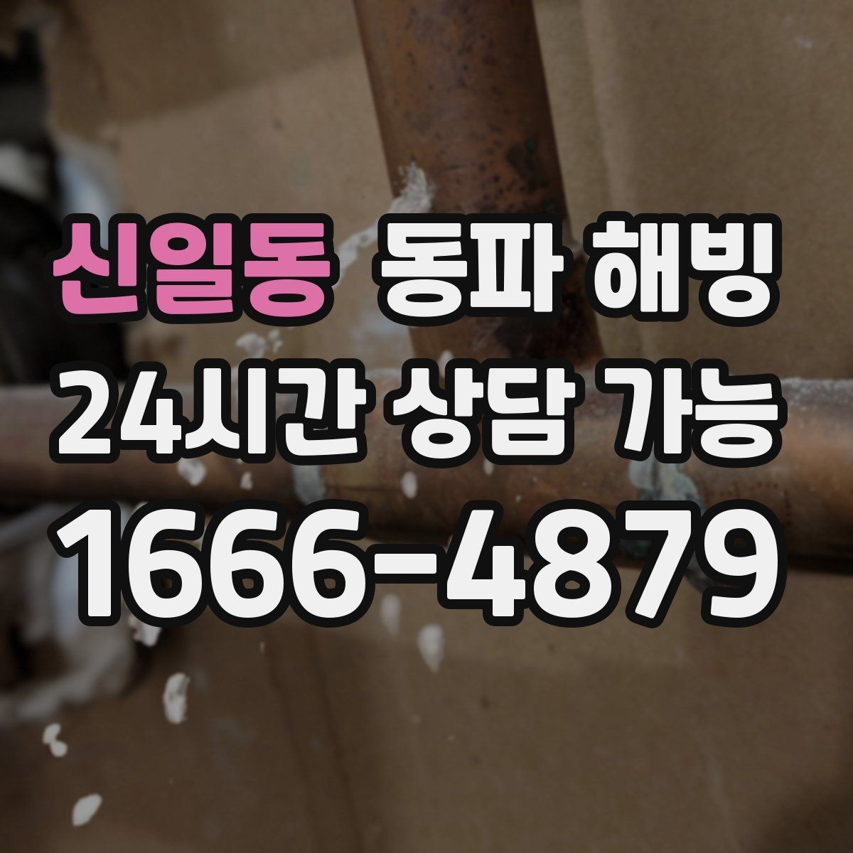 신일동 동파 해빙 물이 흐르다 끊길 때 라인별 점검