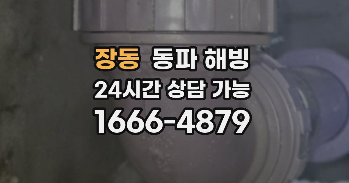 장동 동파 해빙