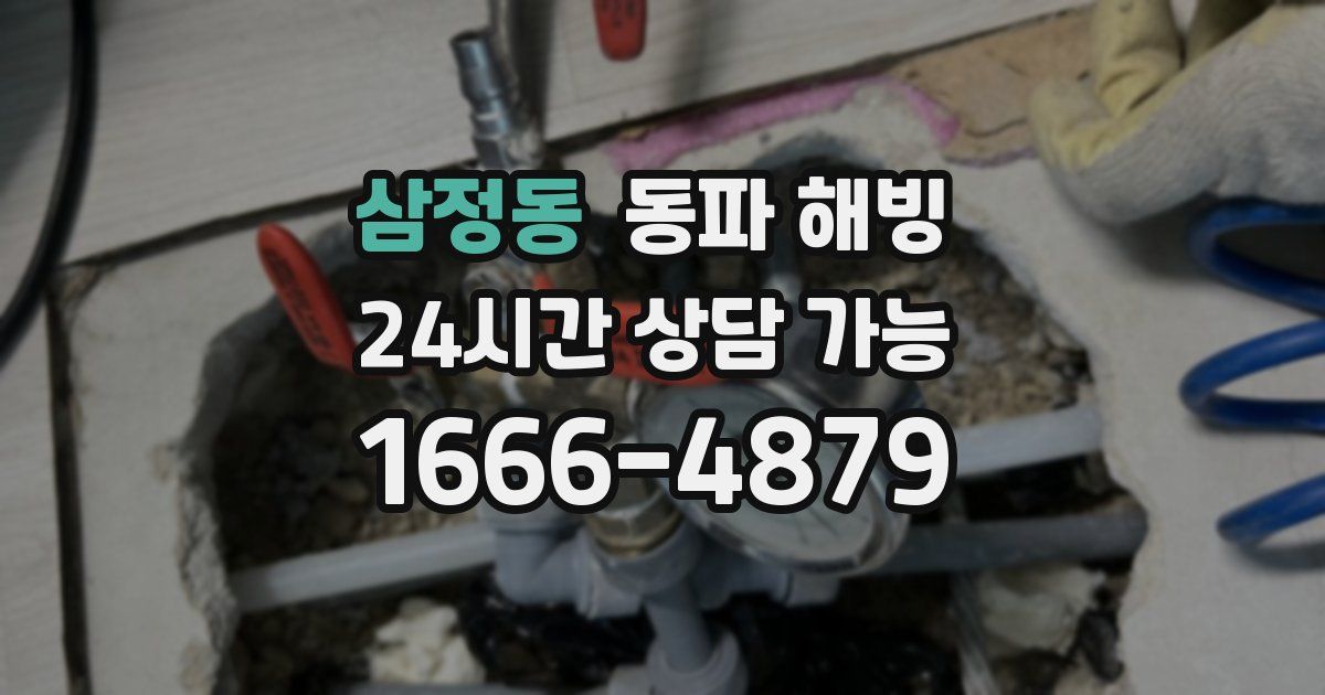 삼정동 동파 해빙