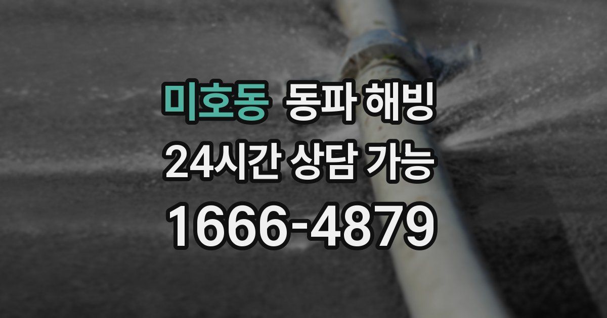 미호동 동파 해빙