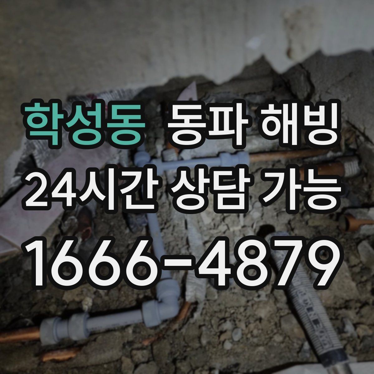 학성동 동파 해빙 급수 라인 구조를 알면 해결이 빨라지는 이유