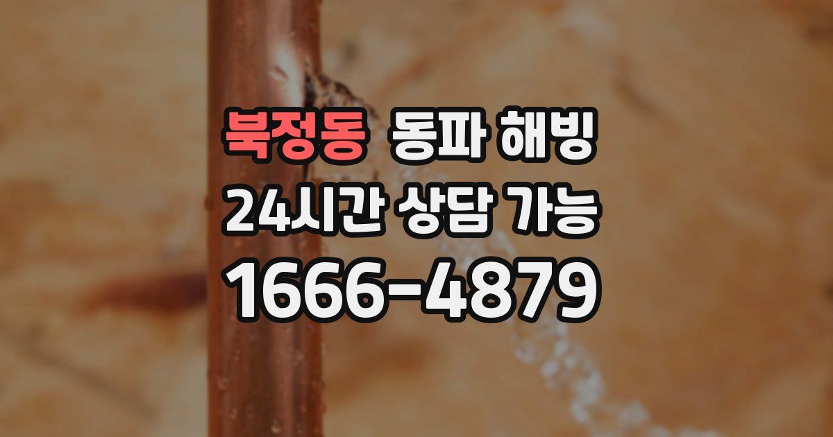 북정동 동파 해빙