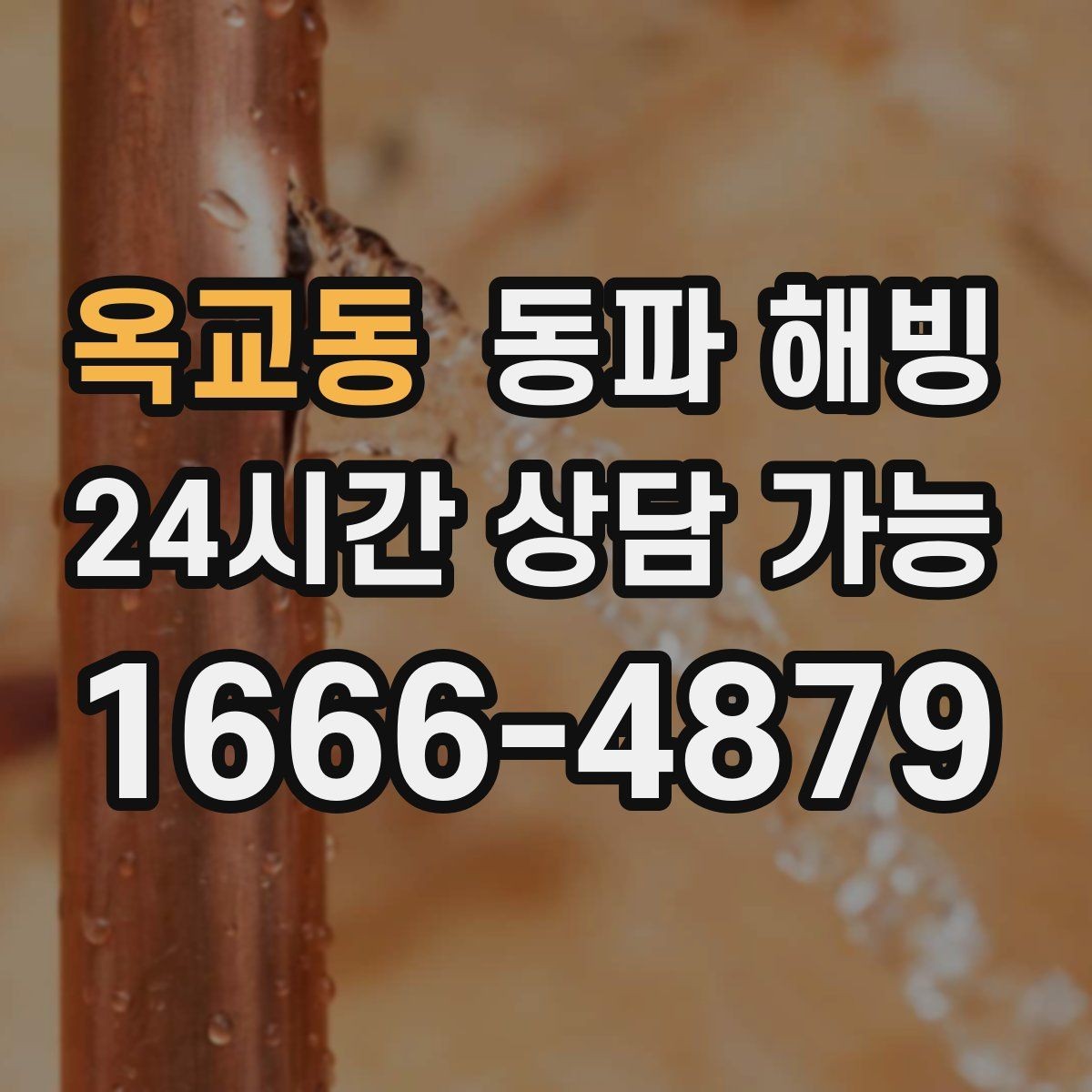 옥교동 동파 해빙 한 세대만 급수가 끊겼을 때 점검