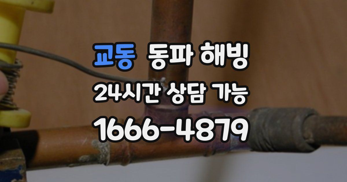 교동 동파 해빙