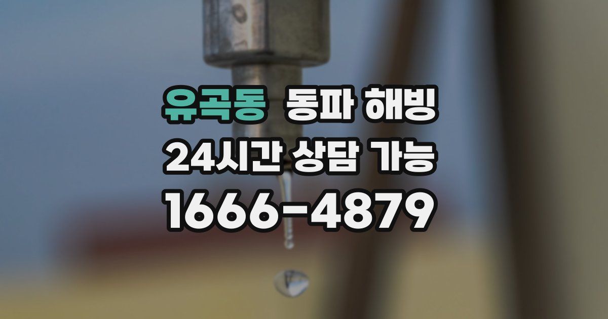 유곡동 동파 해빙