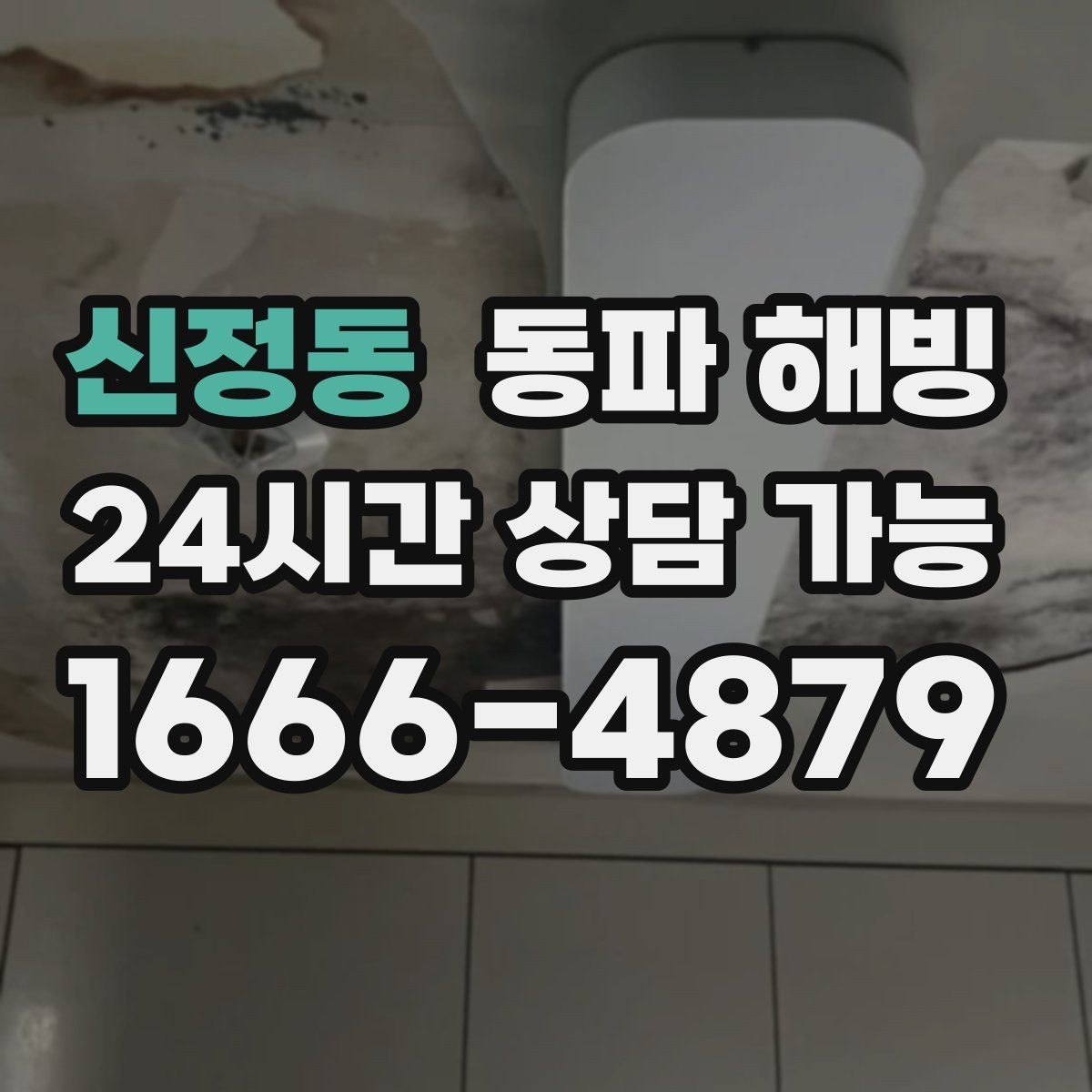 신정동 동파 해빙 한파 경보 뒤 급수 중단 자주 생기는 이유