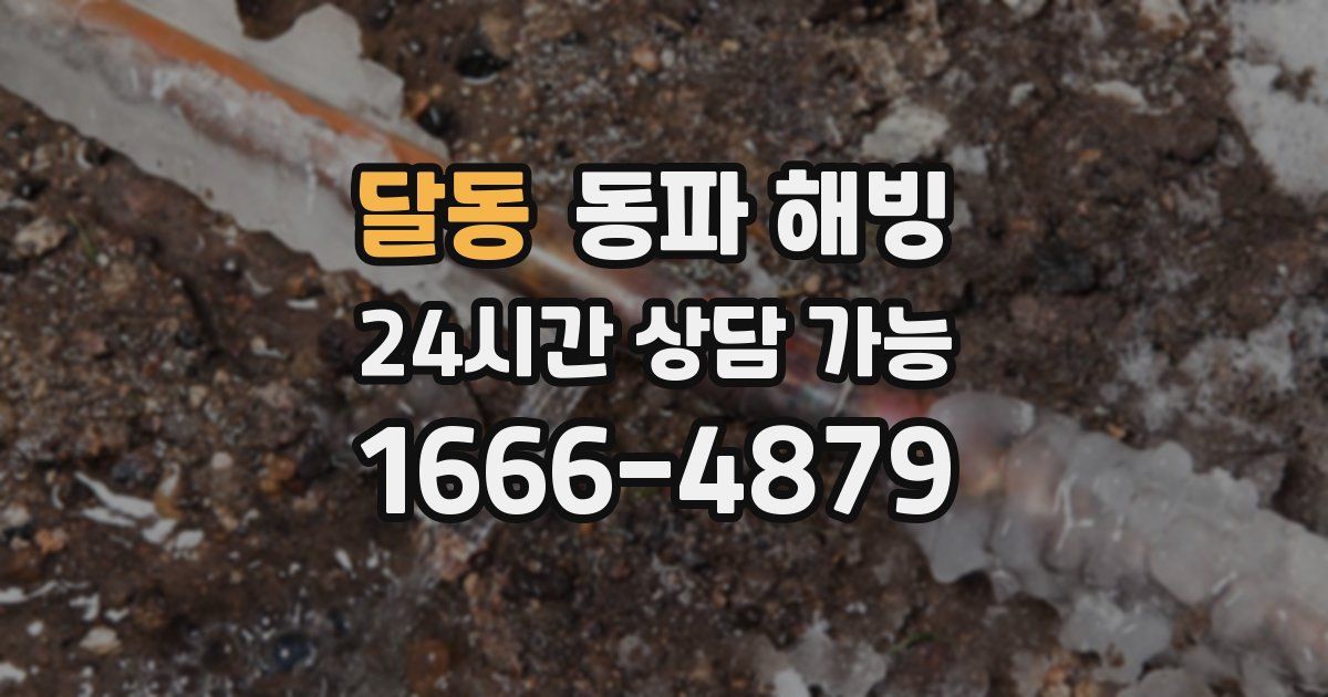 달동 동파 해빙