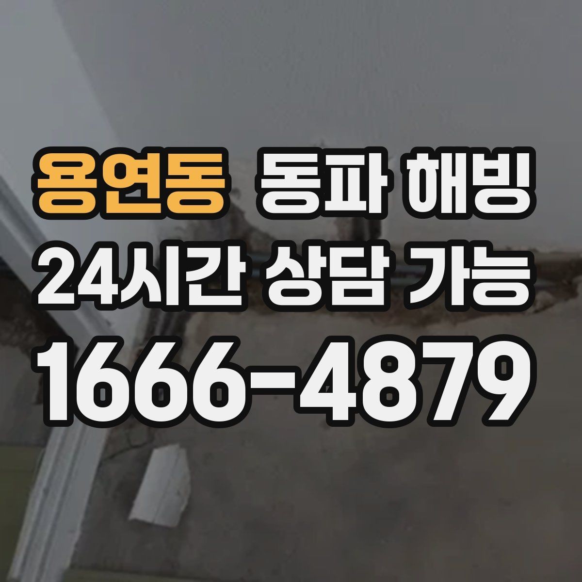 용연동 동파 해빙 카페 주방 물 안 나올 때 점검 포인트