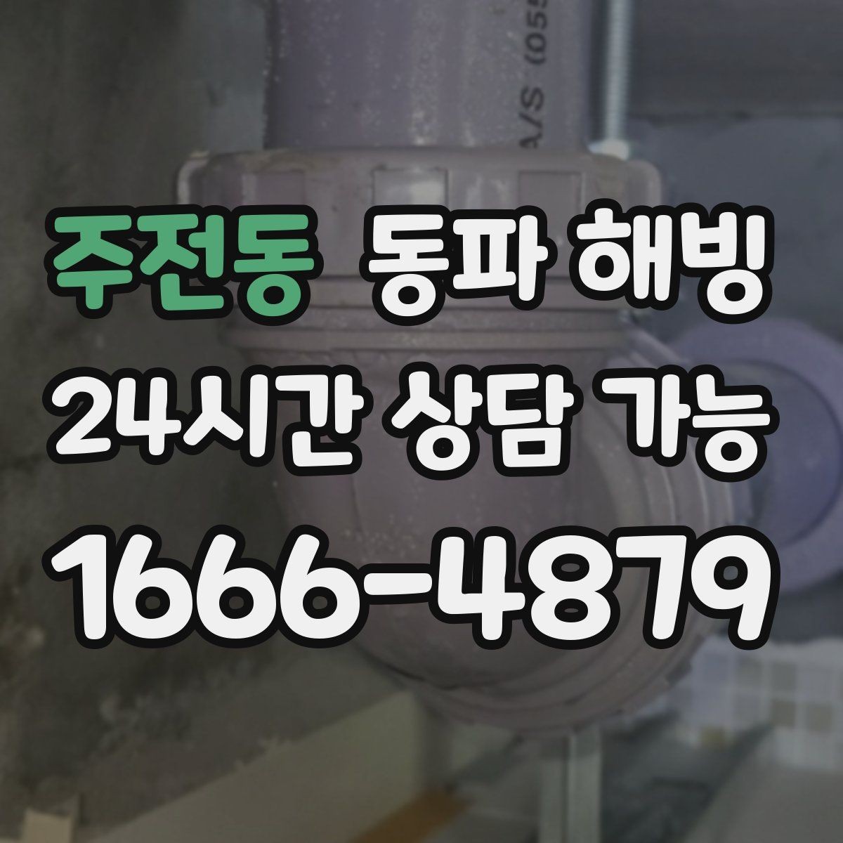 주전동 동파 해빙 카페 오픈 전 물이 안 나올 때 점검