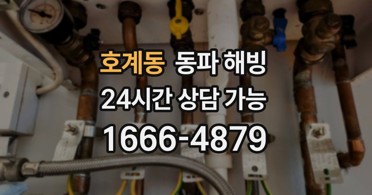 호계동 동파 해빙