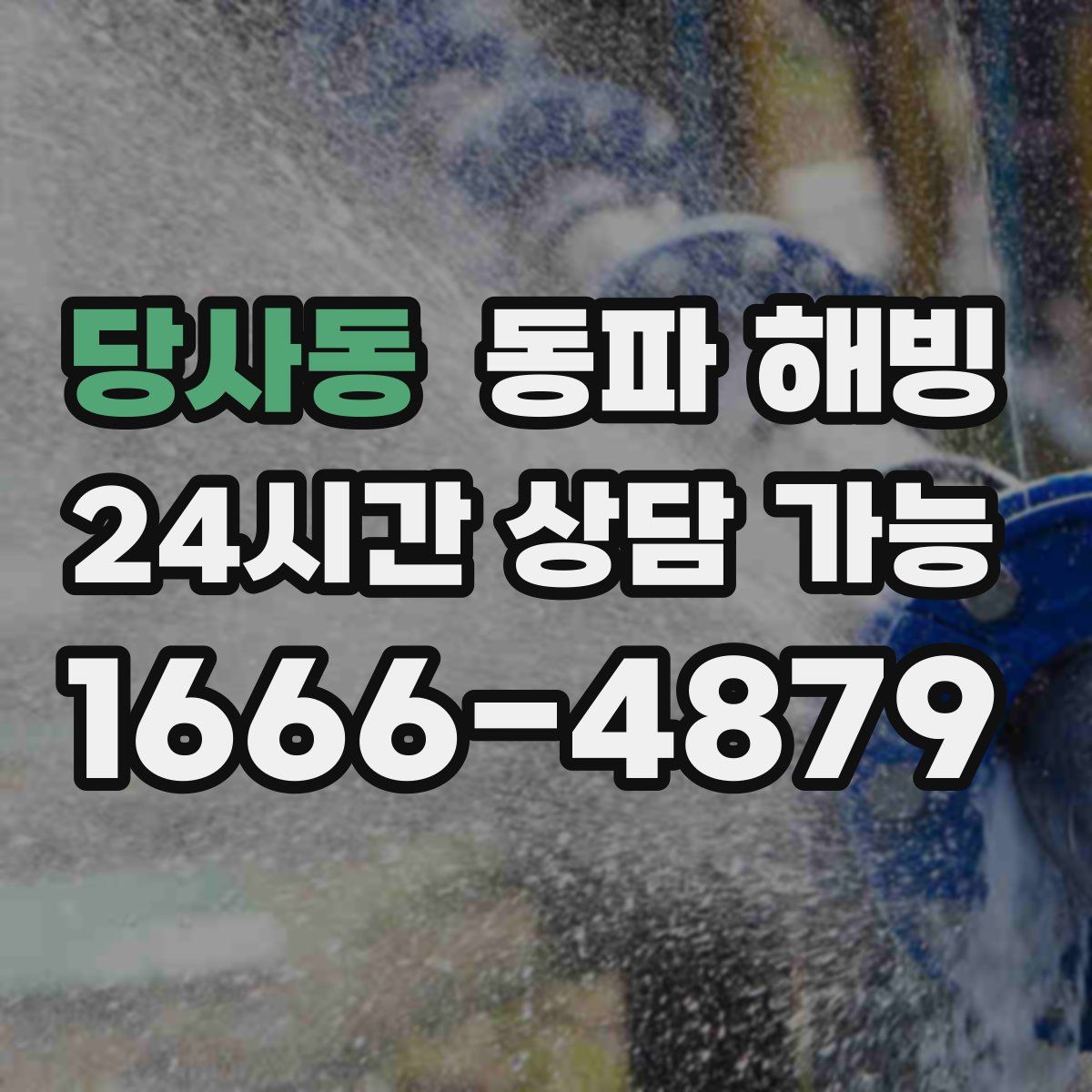 당사동 해빙