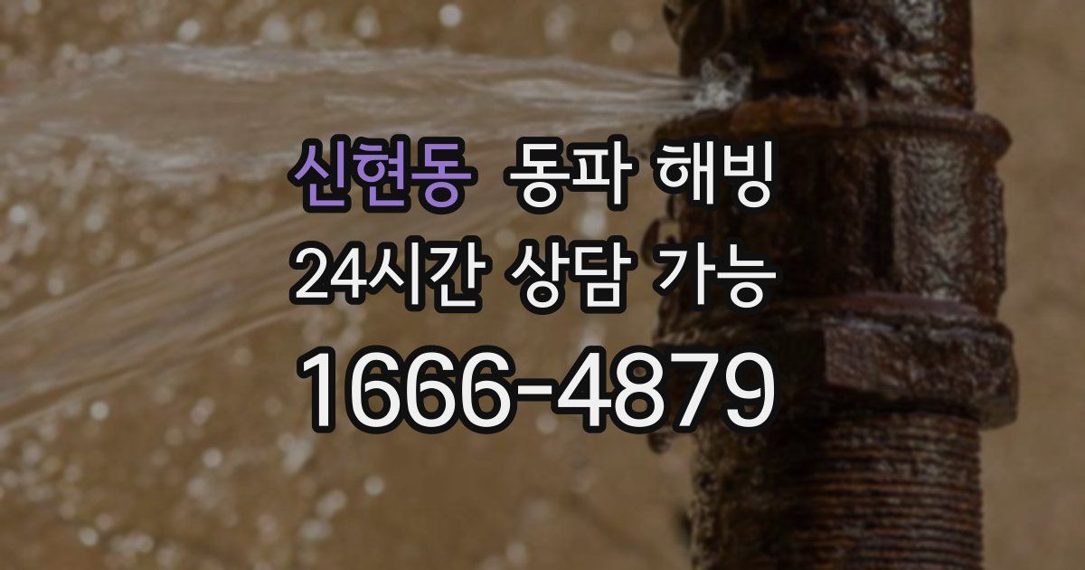 신현동 동파 해빙