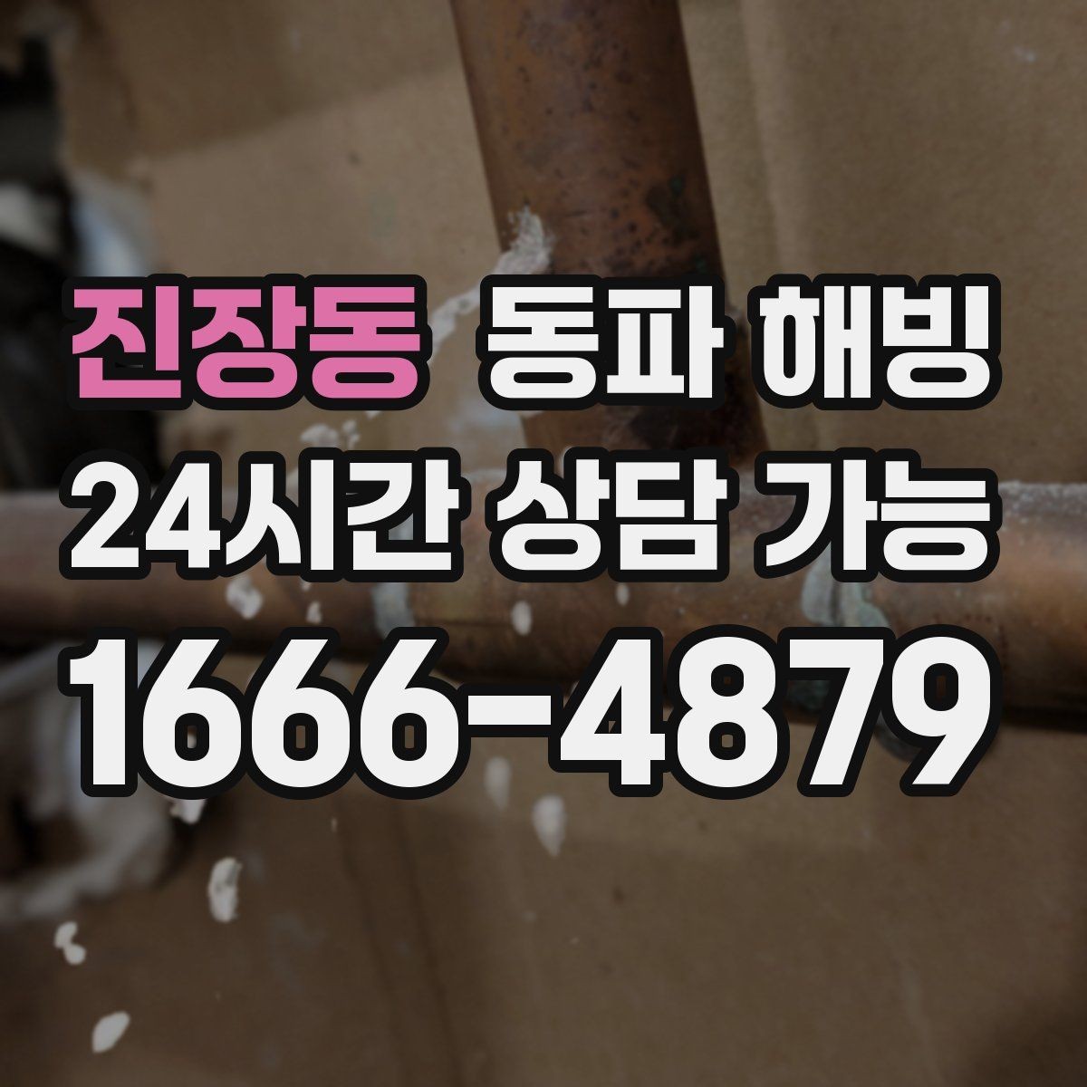 진장동 동파 해빙 마당 수도만 안 나올 때 위험 구간