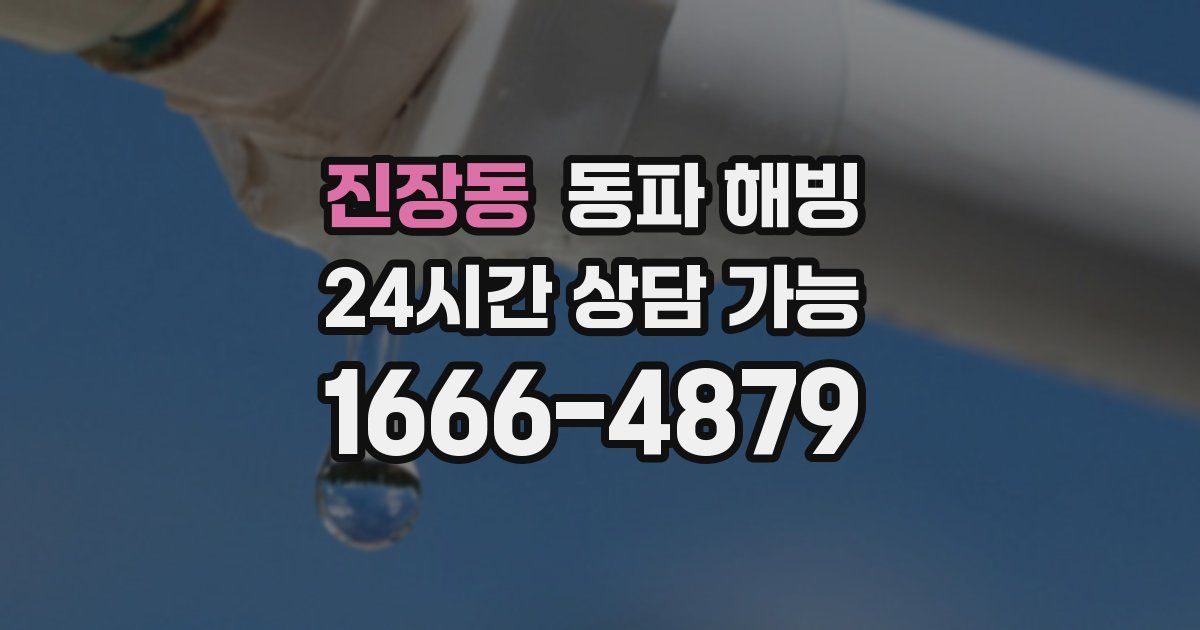 진장동 동파 해빙