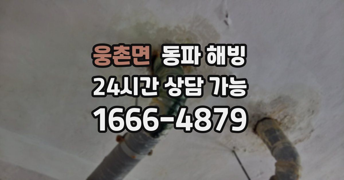 웅촌면 동파 해빙