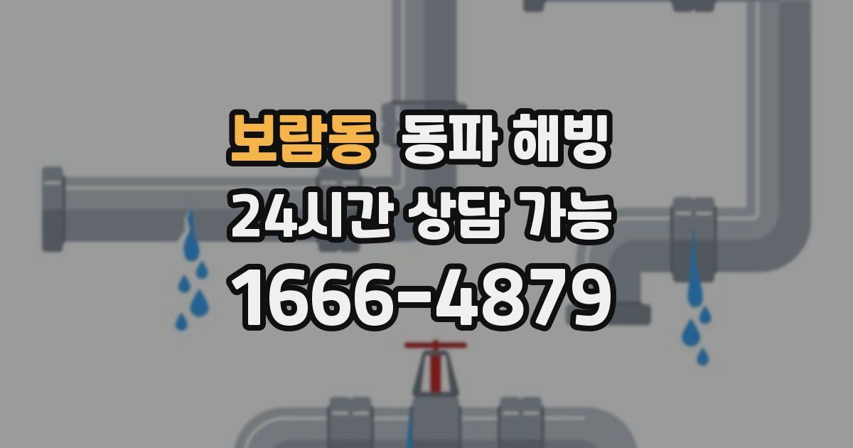 보람동 동파 해빙