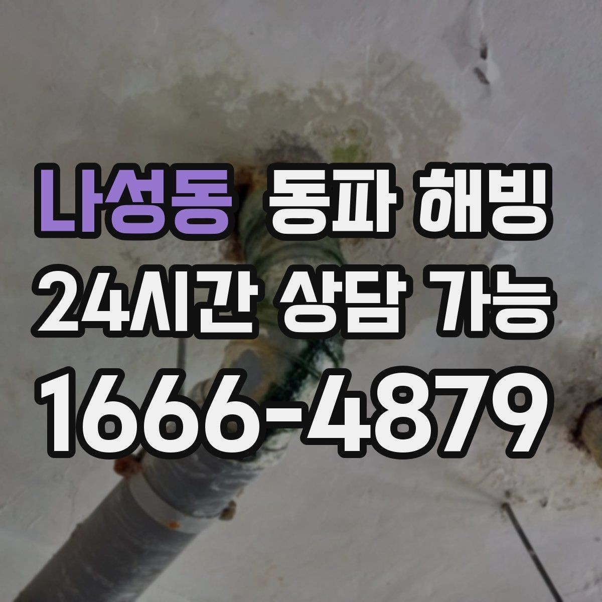 나성동 동파 해빙 반복 결빙을 줄이는 취약 구간 정리