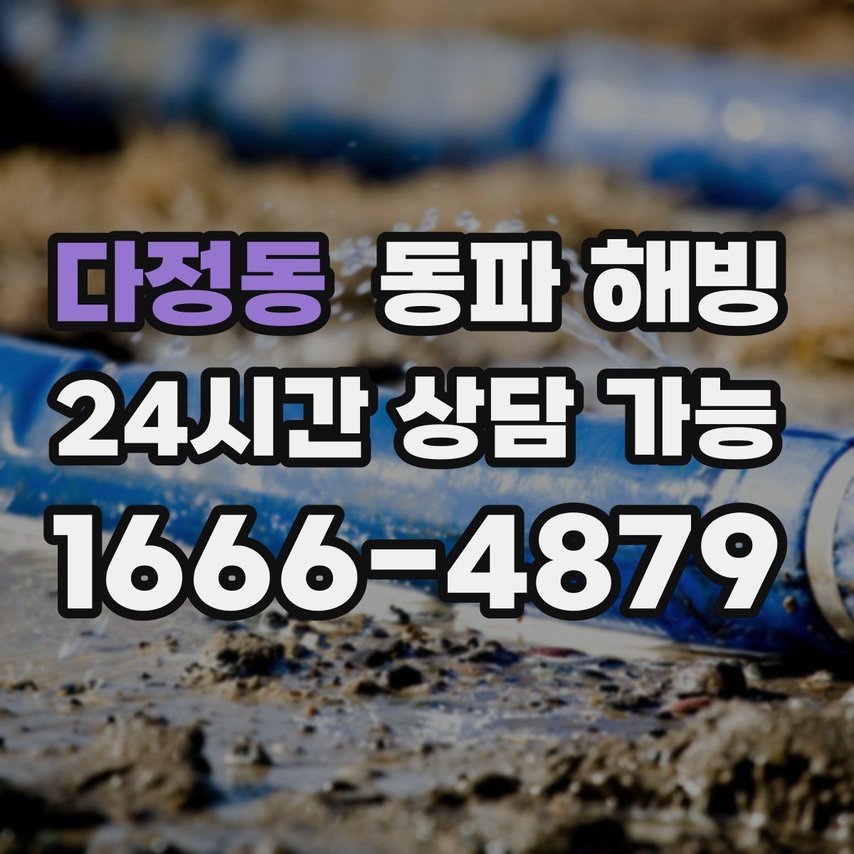 다정동 동파 해빙 급수 중단 상황별로 다르게 보는 점검 포인트