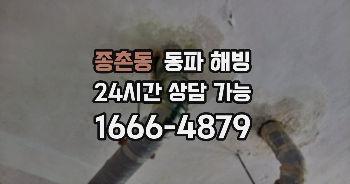 종촌동 동파 해빙