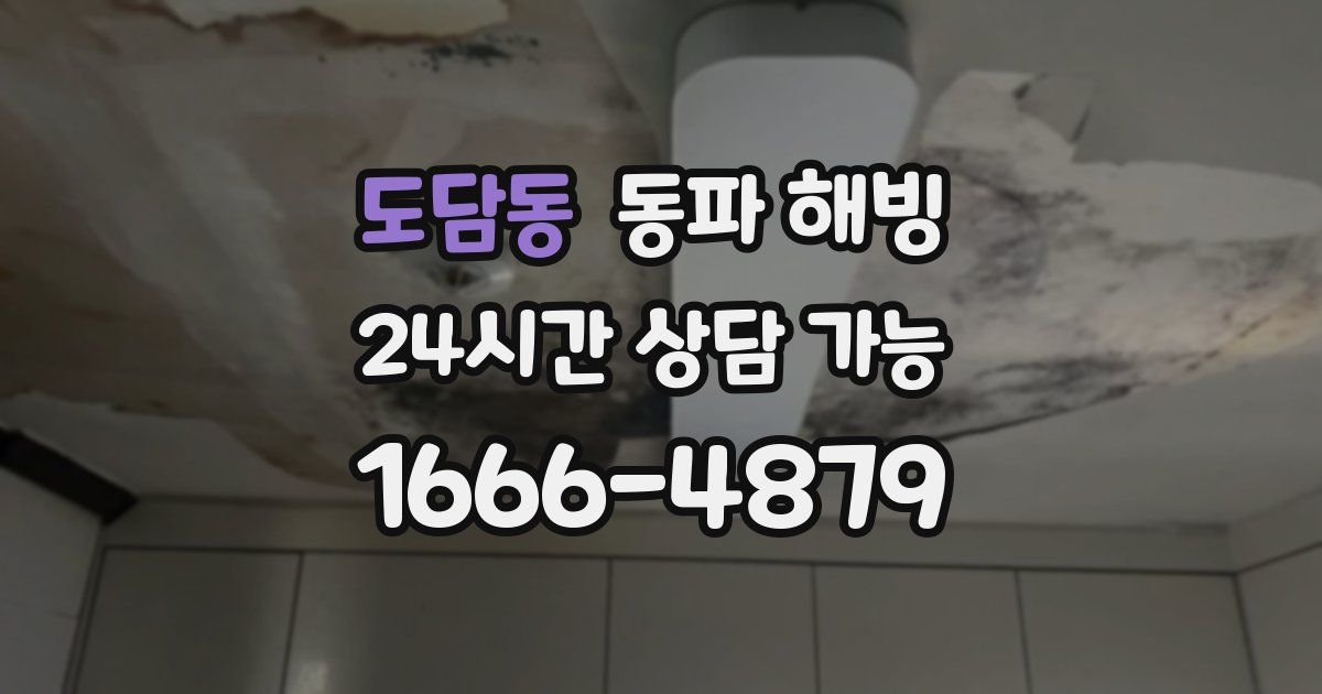 도담동 동파 해빙