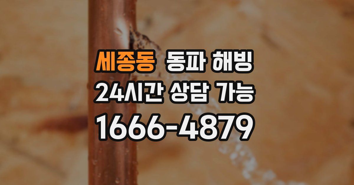 세종동 동파 해빙