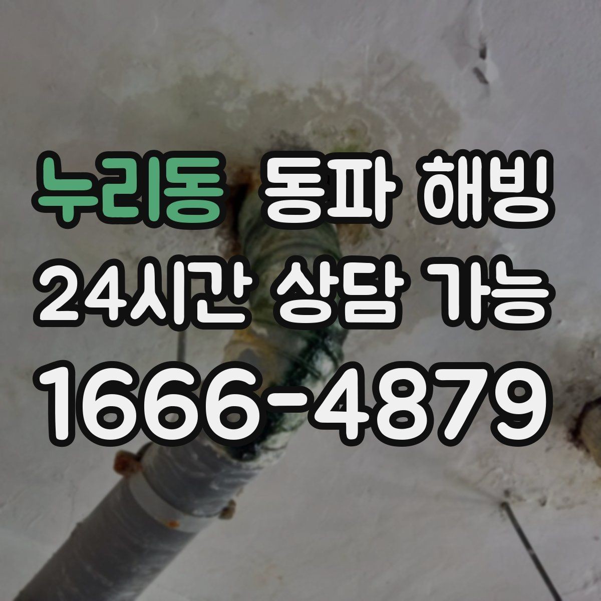 누리동 동파 해빙 사진 한 장으로 점검이 빨라지는 이유
