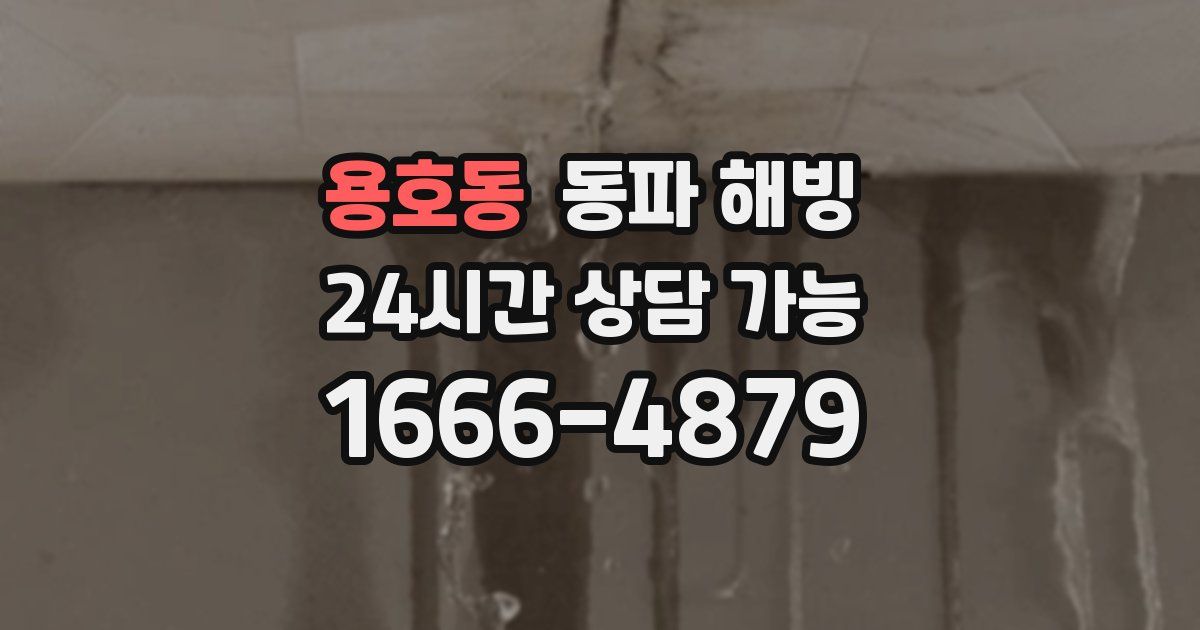 용호동 동파 해빙