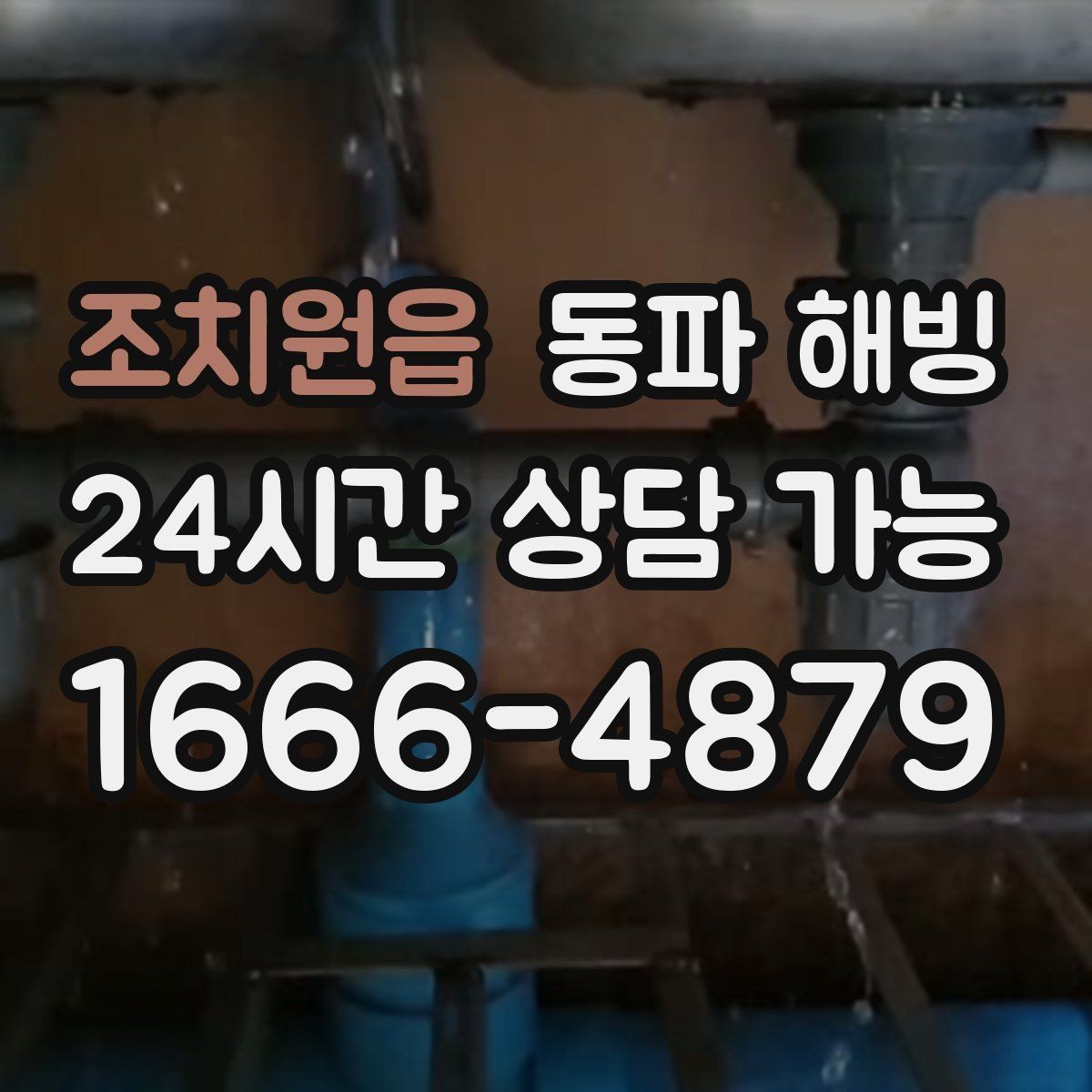 조치원읍 동파 해빙 식당 급수 문제로 급할 때 우선 확인