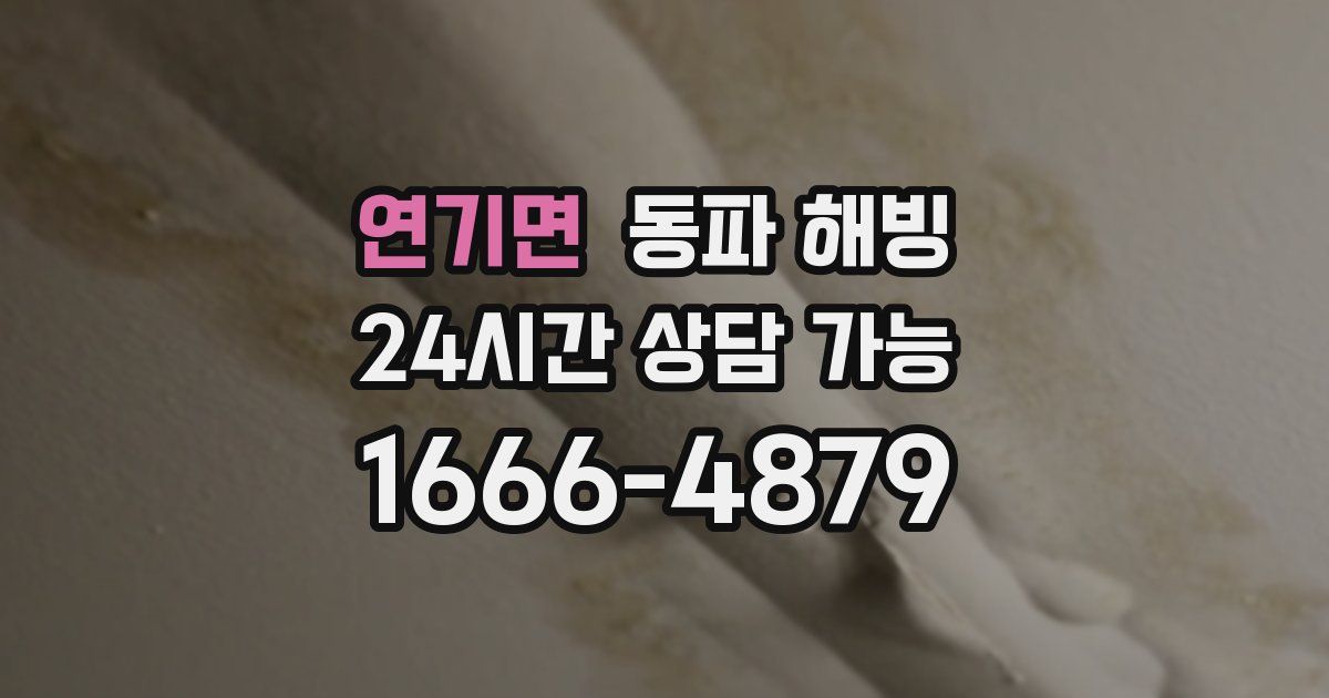 연기면 동파 해빙