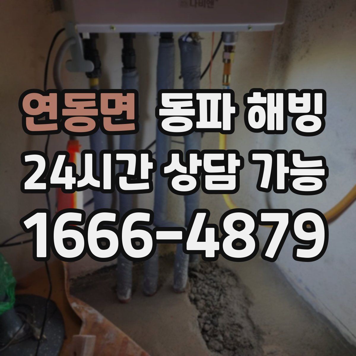연동면 동파 해빙 주택과 상가 결빙 대응이 다른 이유