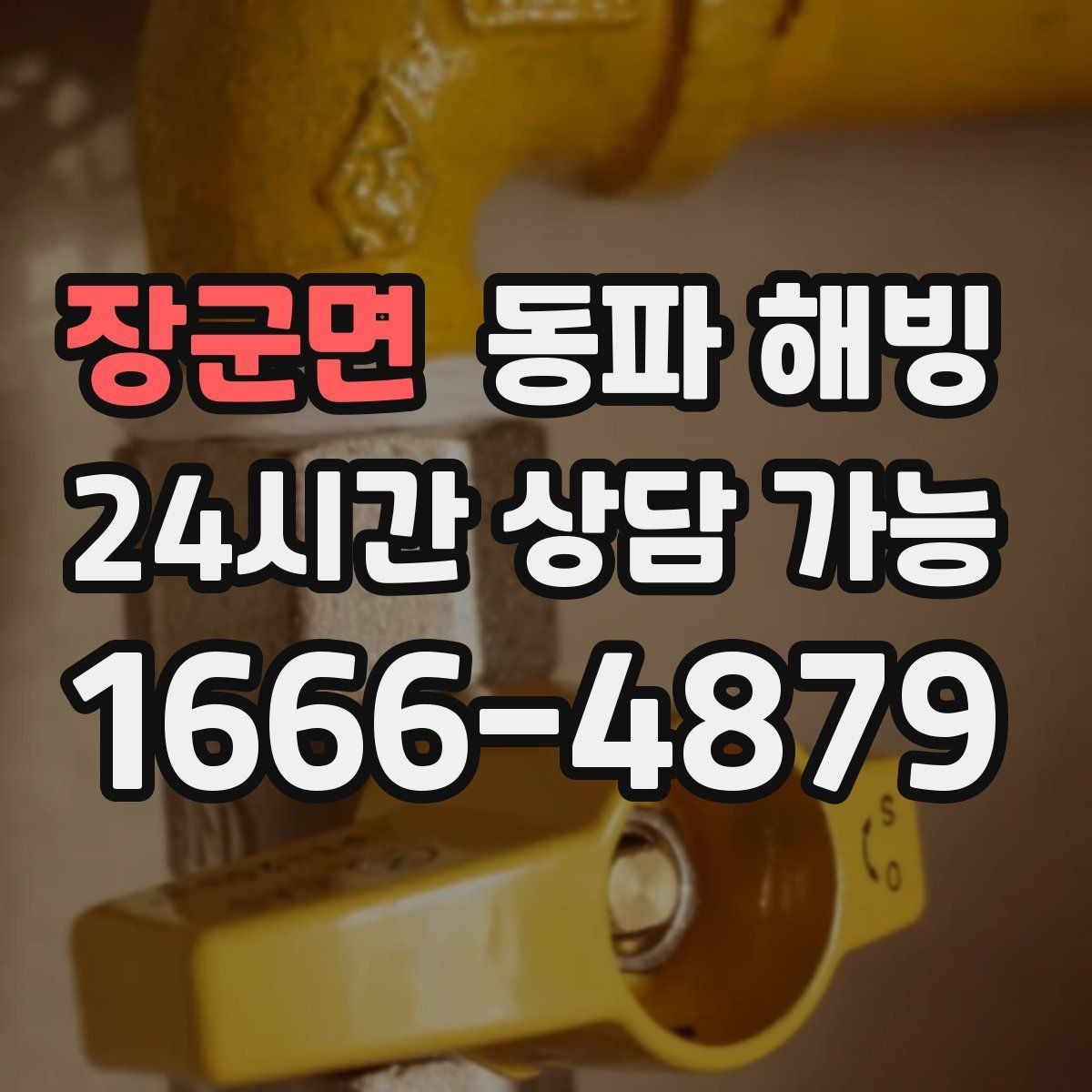 장군면 동파 해빙 기온 급강하 뒤 급수 중단 대응 정리