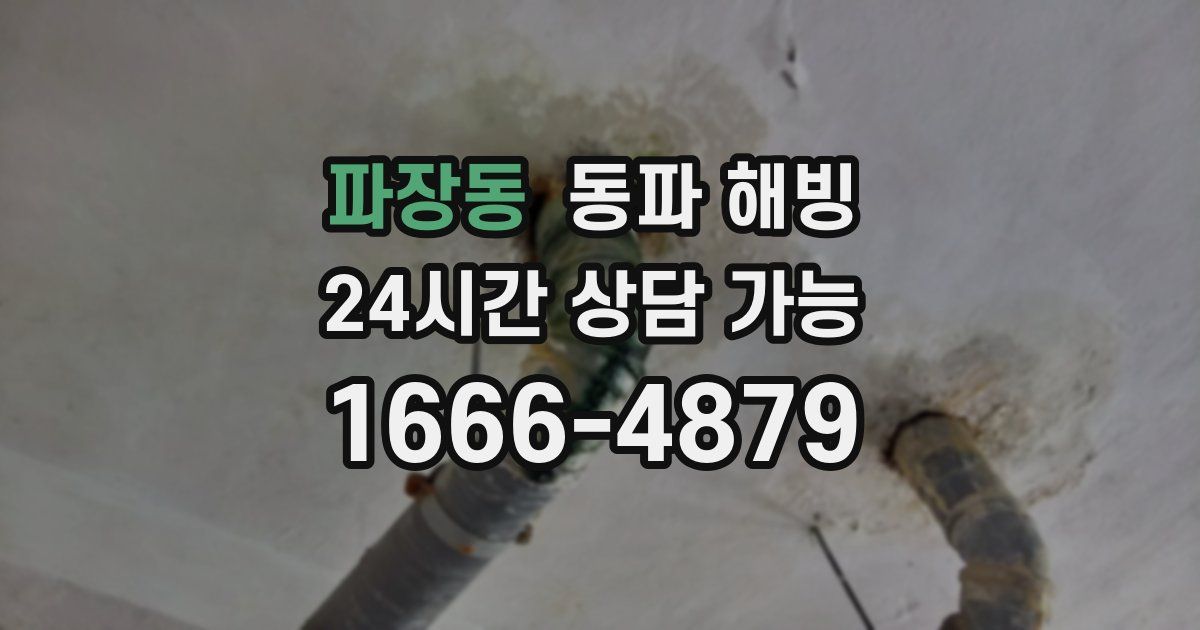 파장동 동파 해빙