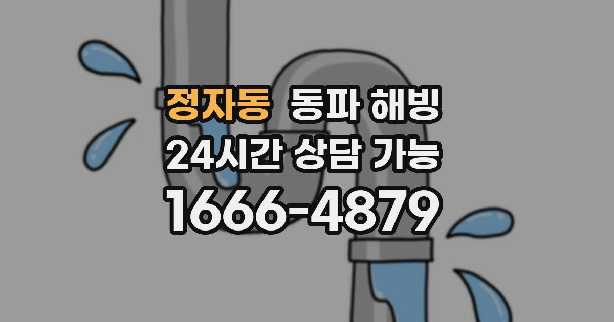 정자동 동파 해빙