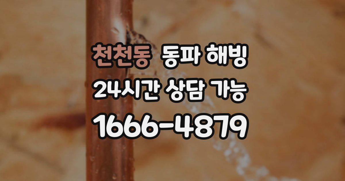 천천동 동파 해빙