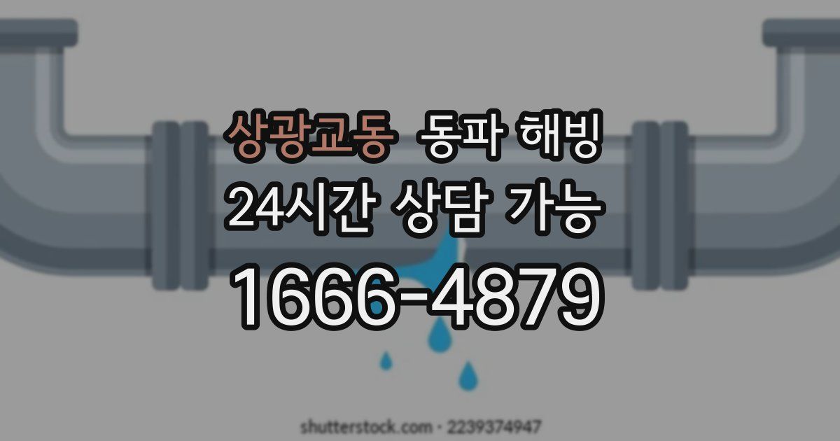 상광교동 동파 해빙