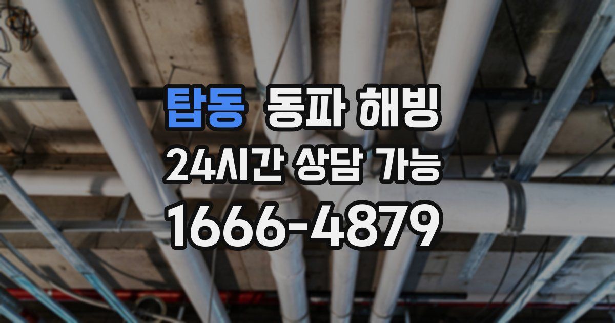 탑동 동파 해빙