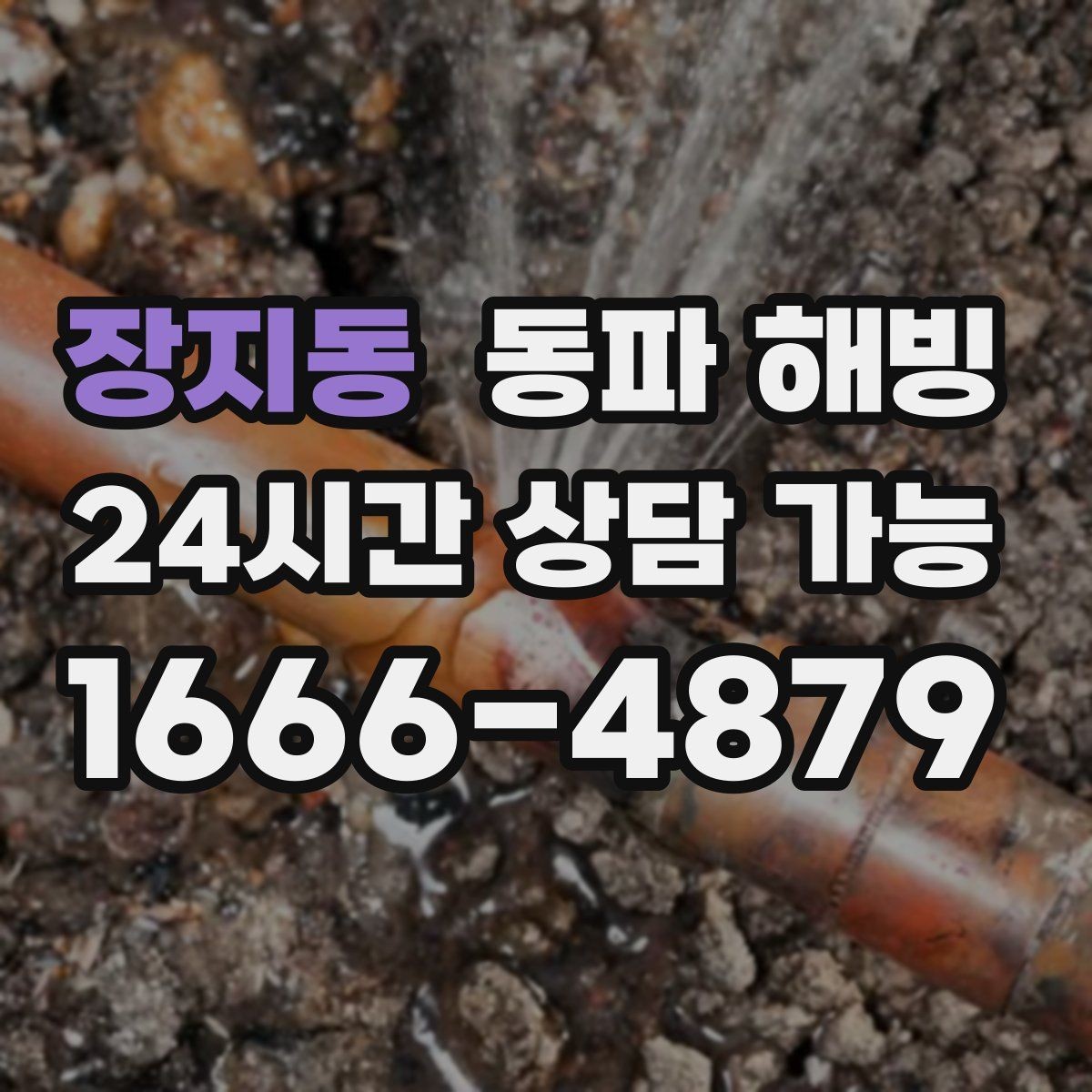 장지동 동파 해빙 특정 구역만 물이 안 나올 때 확인