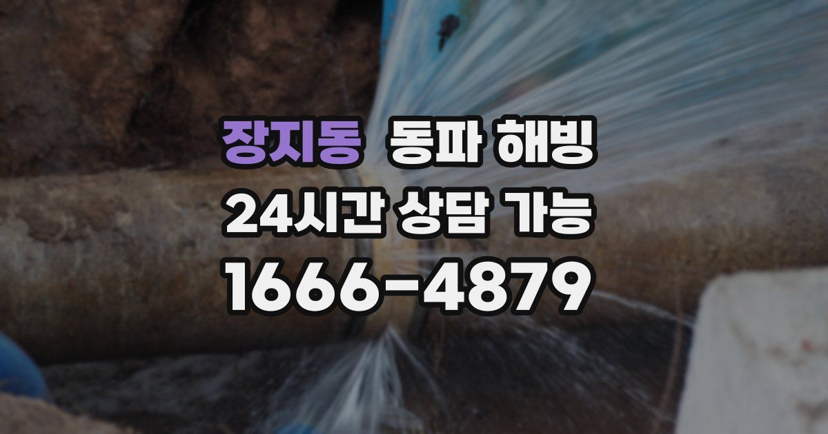 장지동 동파 해빙