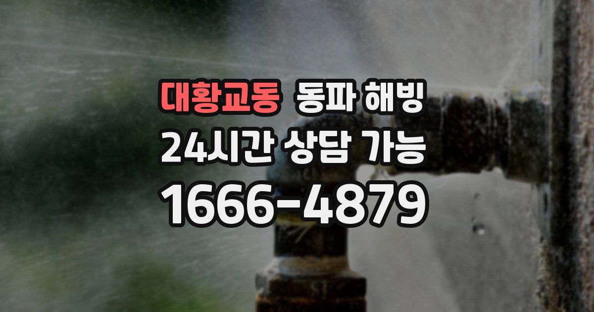 대황교동 동파 해빙