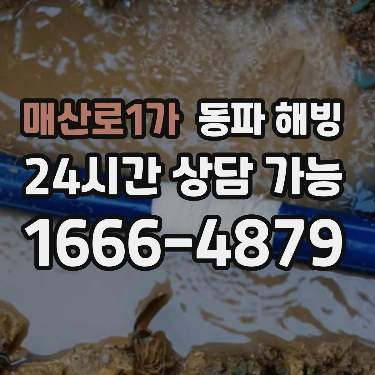 매산로1가 해빙