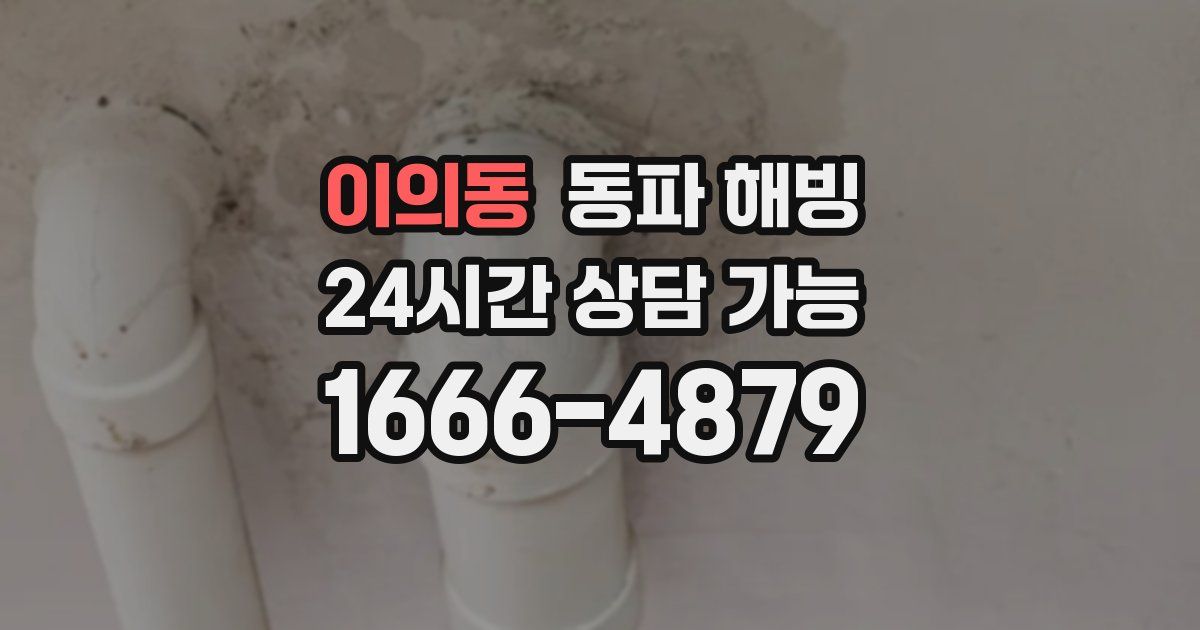 이의동 동파 해빙