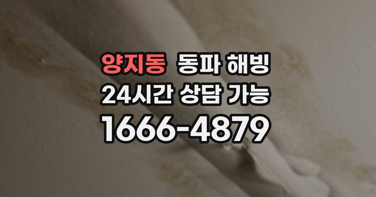 양지동 동파 해빙