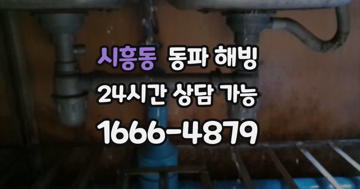 시흥동 동파 해빙