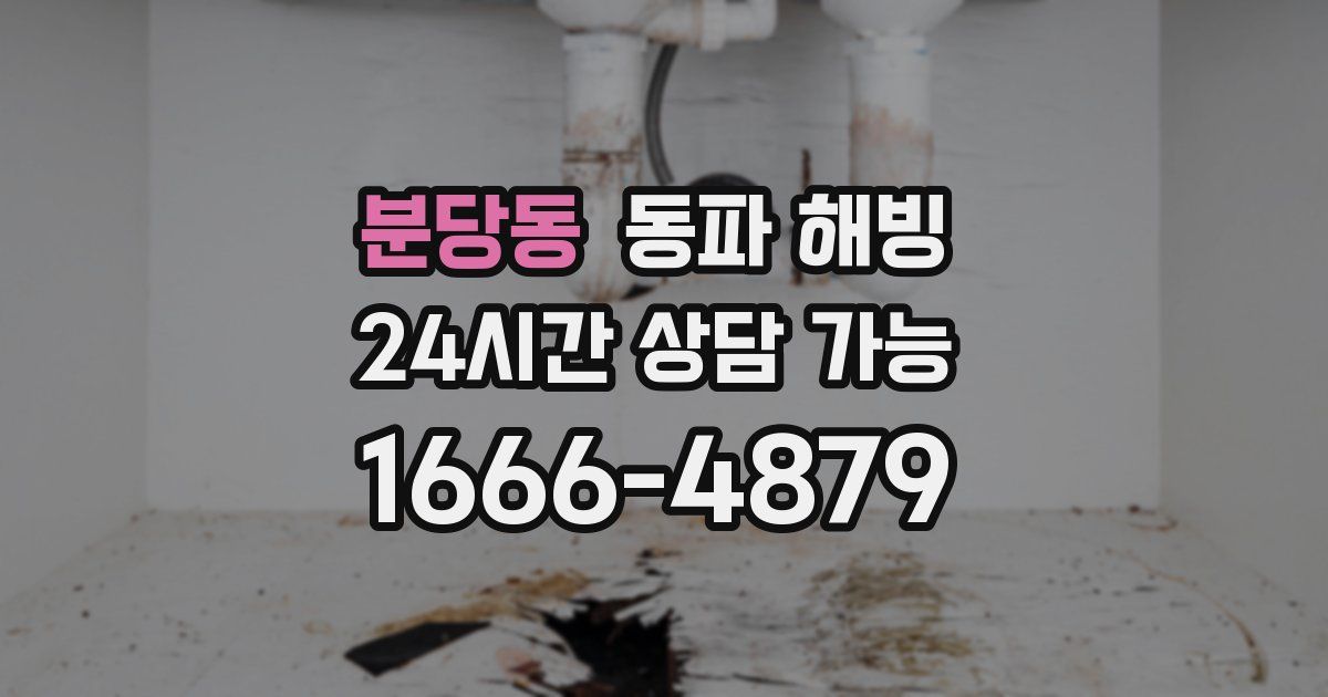 분당동 동파 해빙