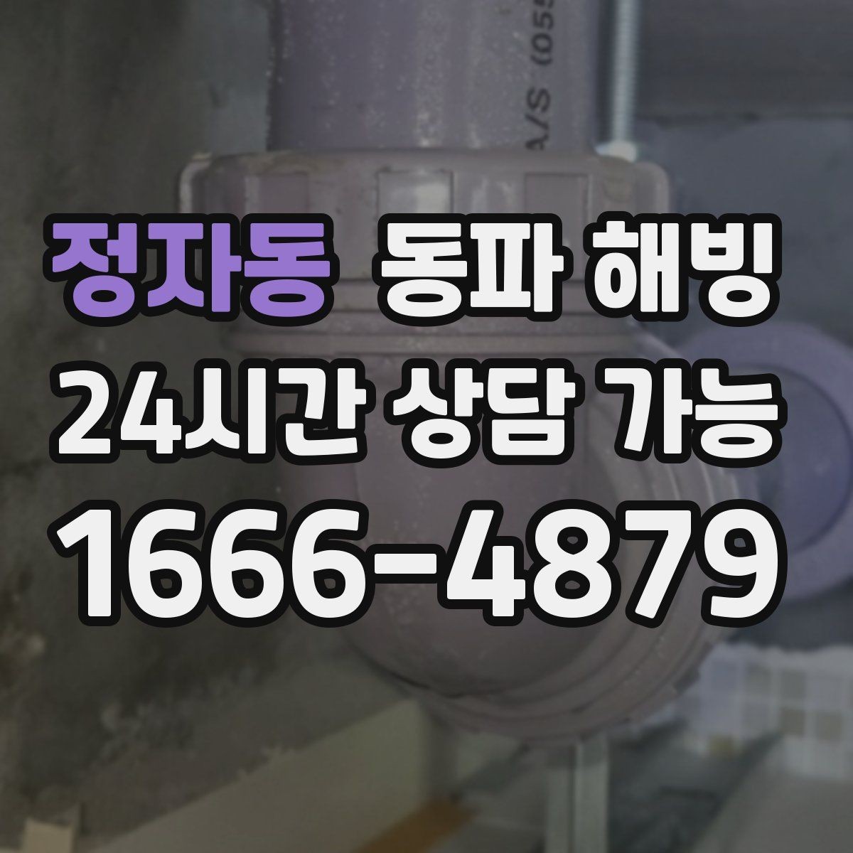 정자동 동파 해빙 현장 방문 전 준비하면 좋은 사진과 정보