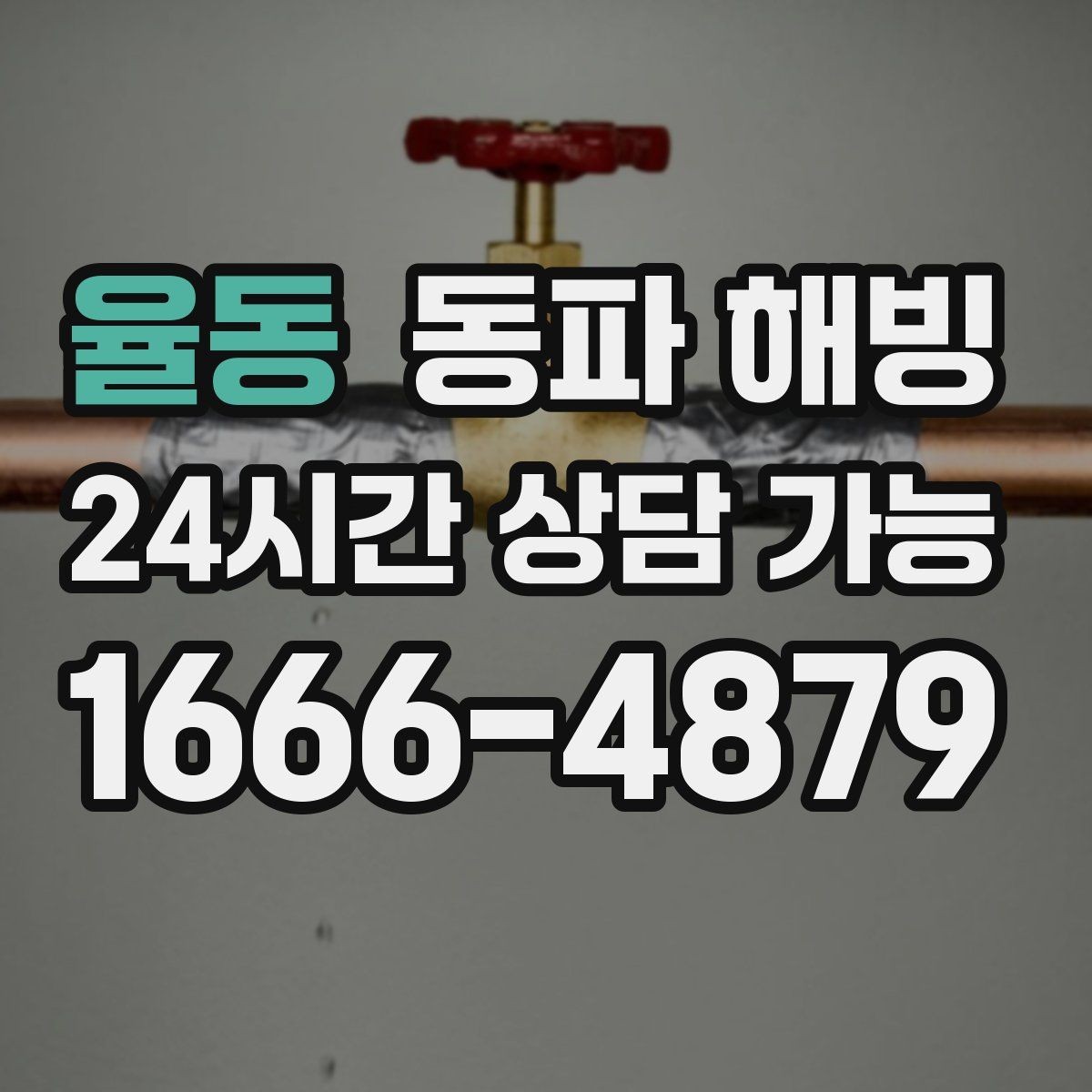 율동 동파 해빙 장기간 비운 집 급수 중단 점검 순서