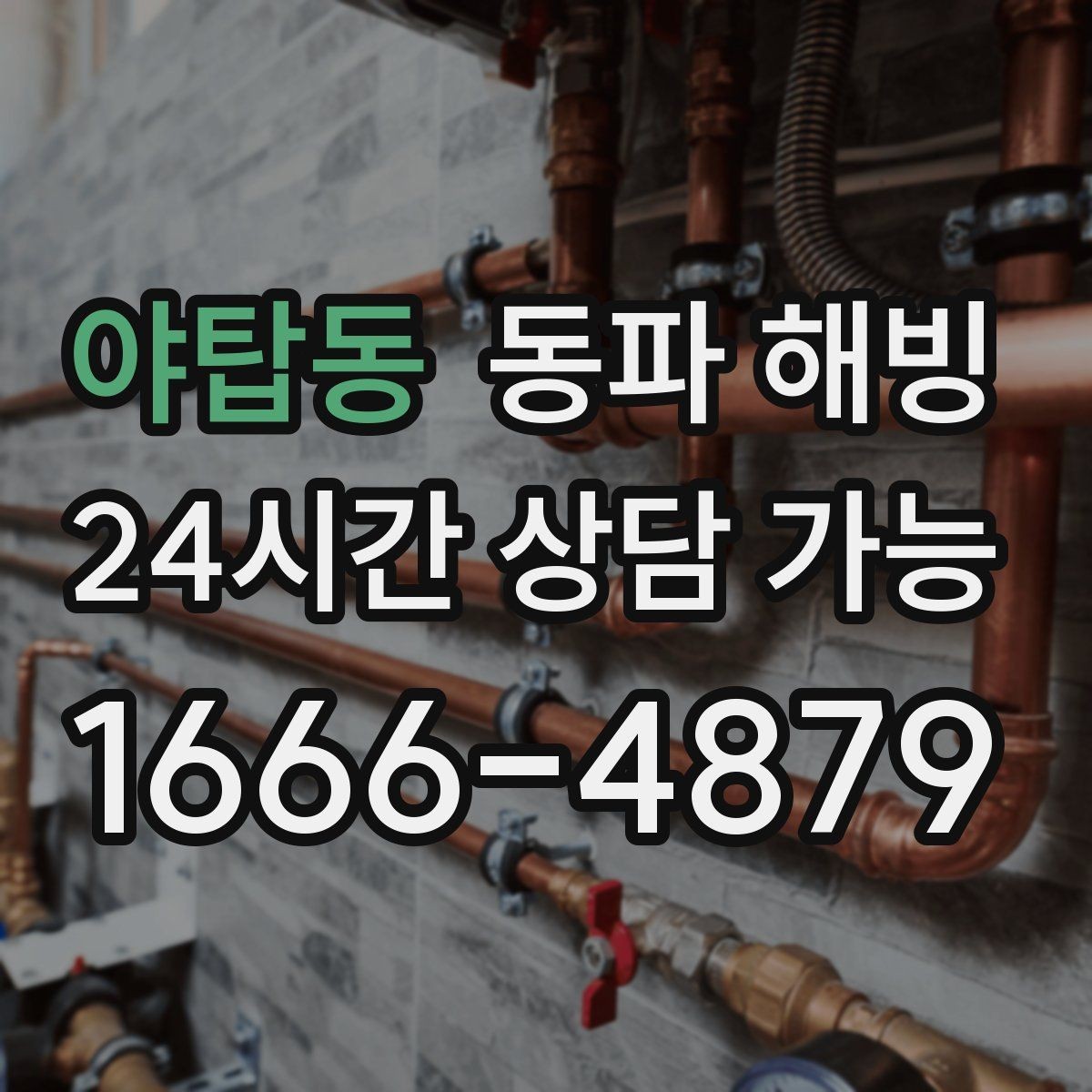 야탑동 동파 해빙 세탁기 라인 결빙이 잦은 집 특징
